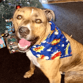 Reversible super Hero dog bandana, handmade let's Pawty